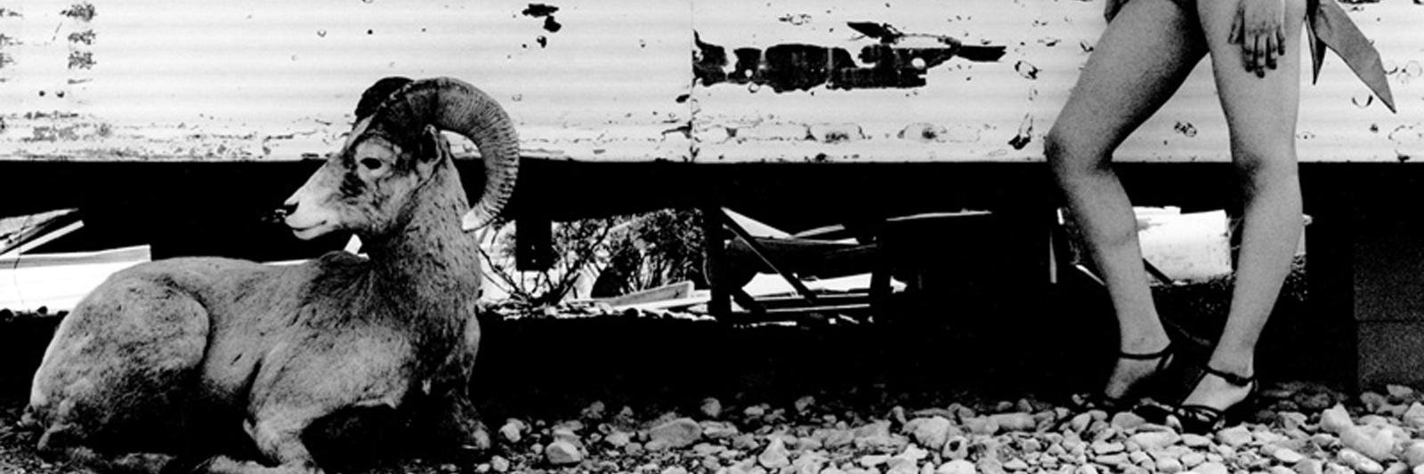 RevolverKatana's profile banner image