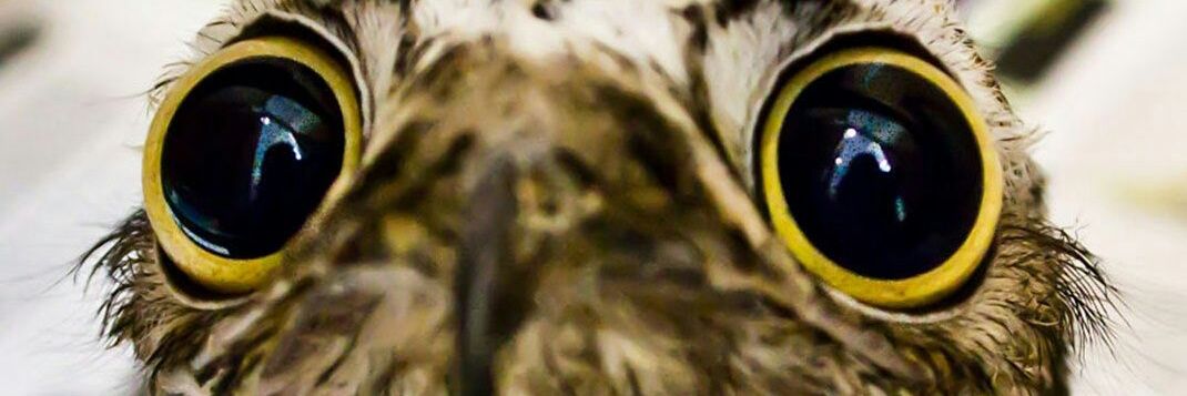 moreno1148's profile banner image