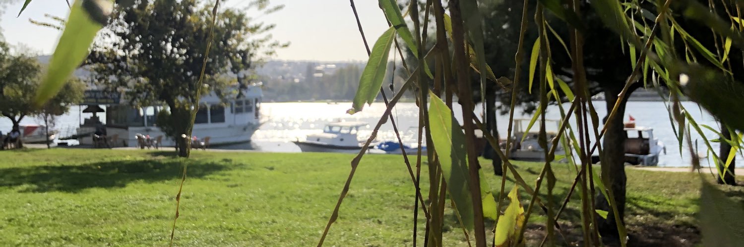 Hanan_June's profile banner image