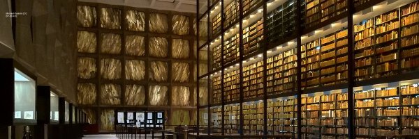 mqdicer Profile Banner