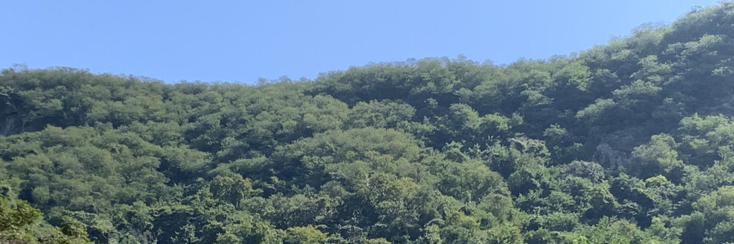 Raí Chaves banner