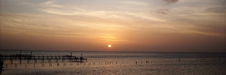 oscarca57575217's profile banner image