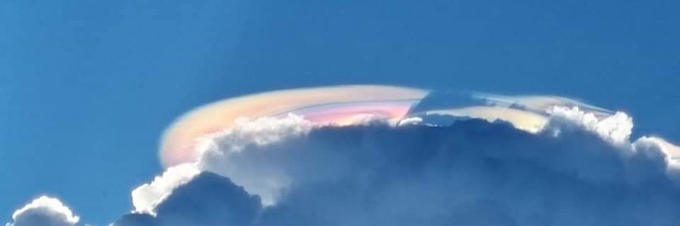 Rose-Maebiru Martin banner