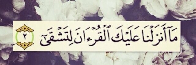 أ. سميحه الشهري ✍௸ banner