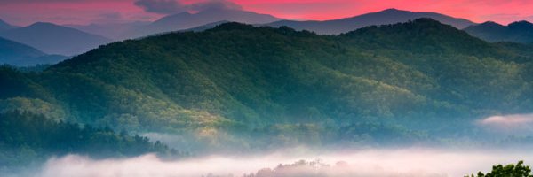 dschultz34's profile banner image