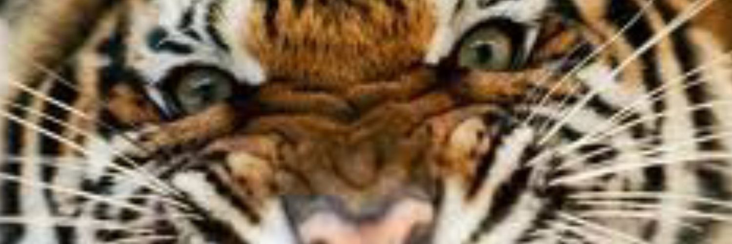 ACE_478's profile banner image