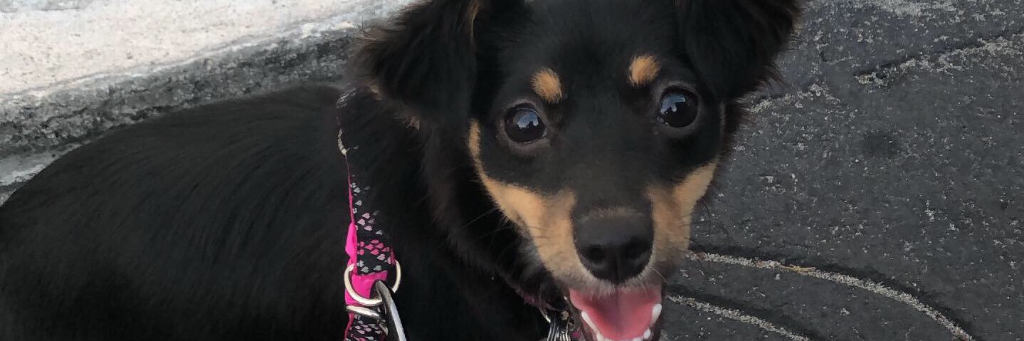 redlipstickx's profile banner image