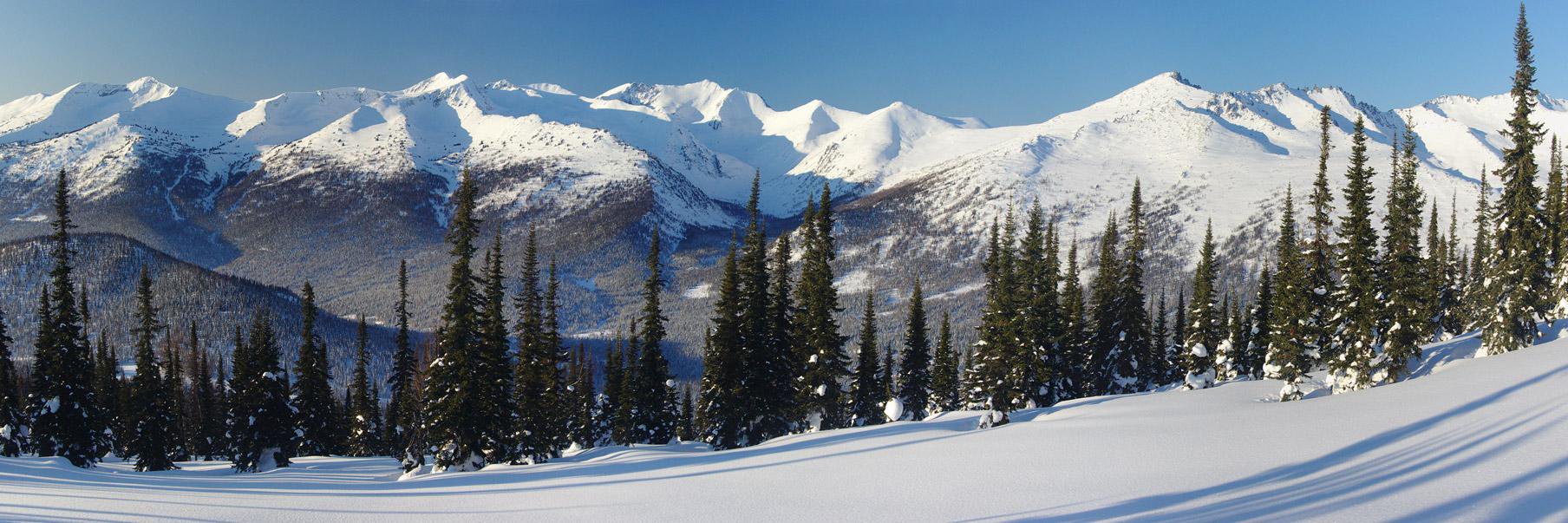 Arkady Motovilov banner