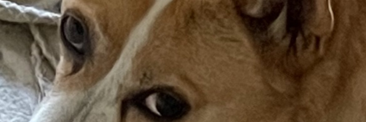 CaptainCarmel's profile banner image