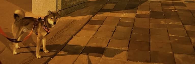 ThOny_Me's profile banner image