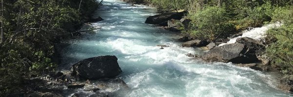 Runner_Mama Profile Banner