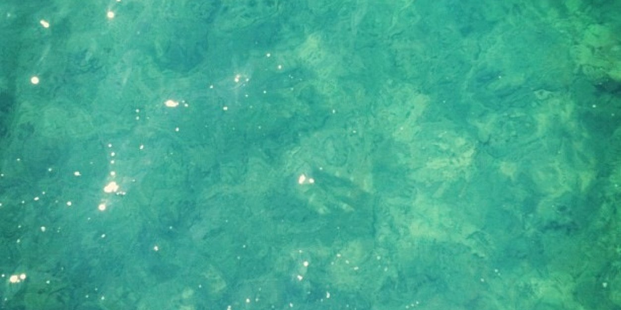 mrmushroomm's profile banner image