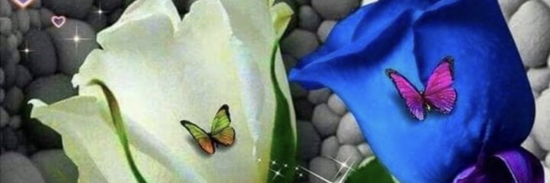 farohakuw11's profile banner image