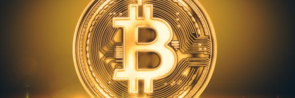 dunc101's profile banner image