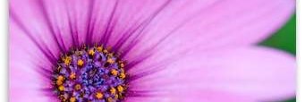 Buddy50196551's profile banner image