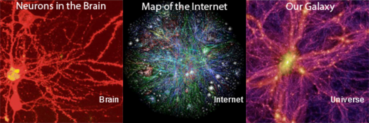 Dr. Roland Philipp banner