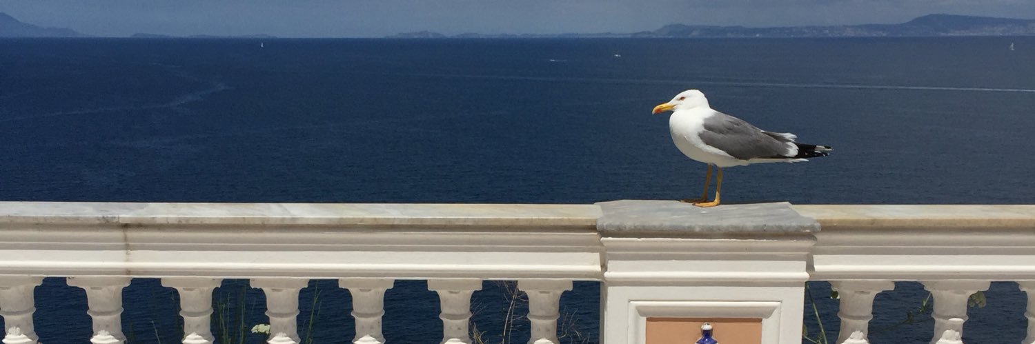 giangiu66's profile banner image