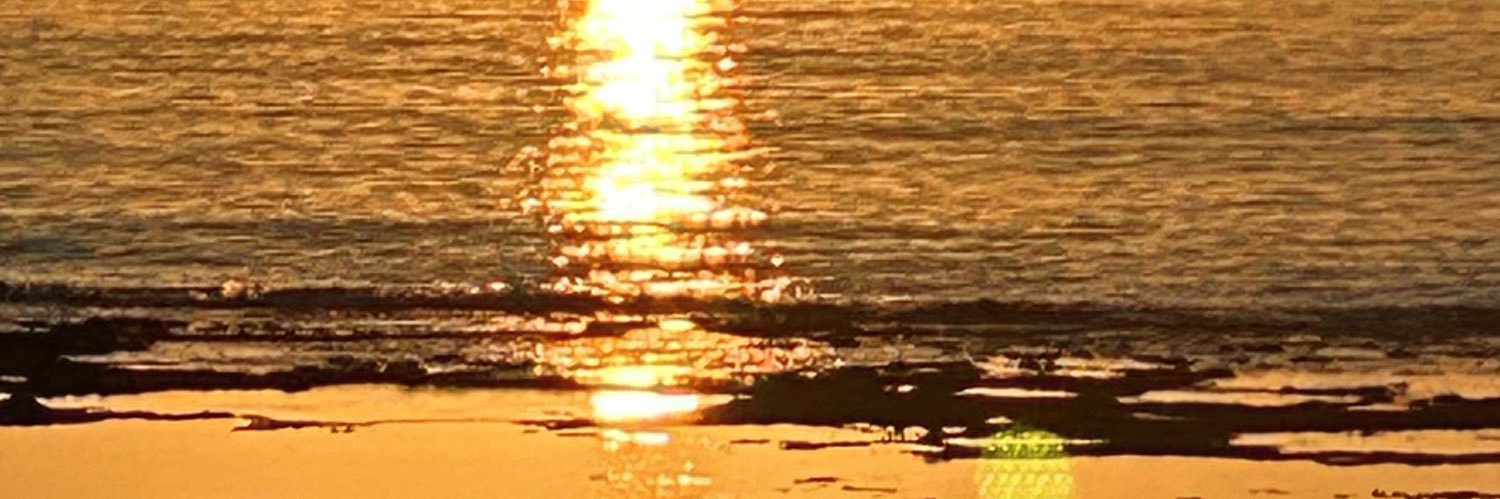 b_japj's profile banner image