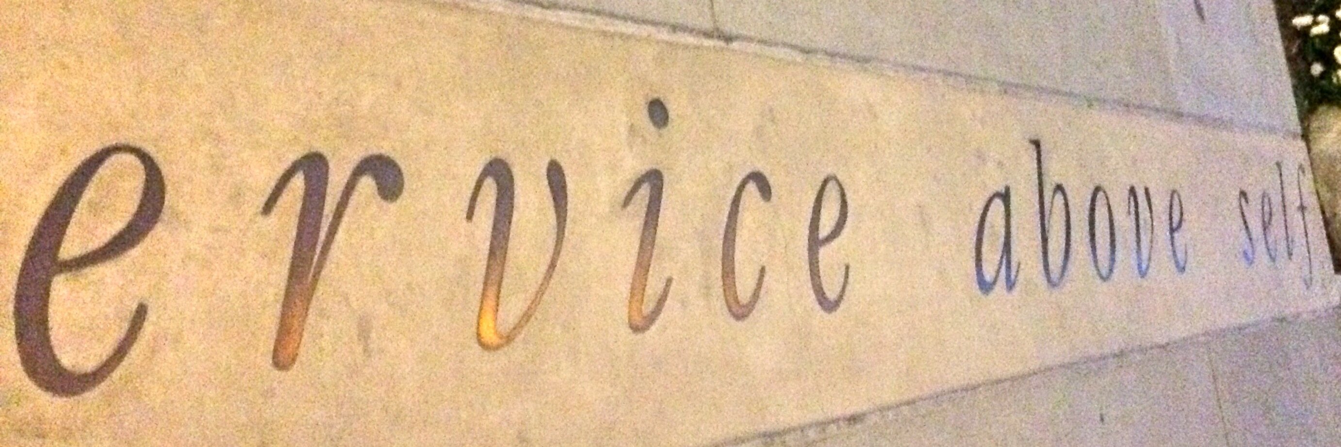 Anechoic's profile banner image