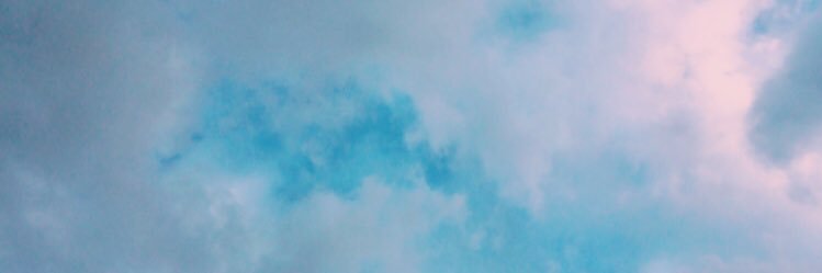 ねね banner
