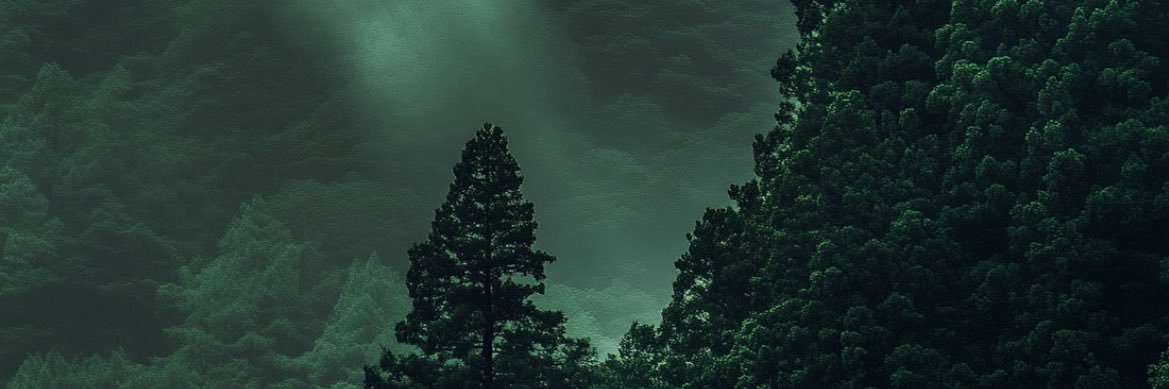 manisaenerji's profile banner image