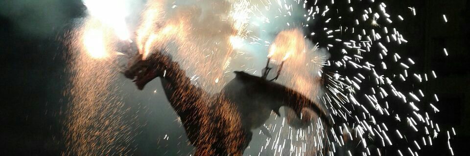 ferran tost🎗️ banner