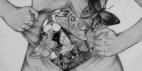 leidyal1's profile banner image
