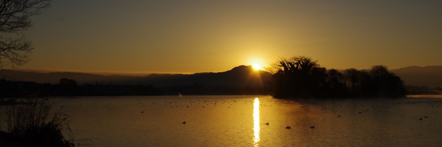 nyanparapi's profile banner image
