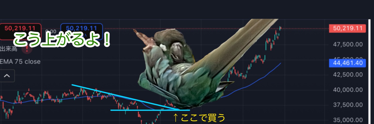 wanmhilmi's profile banner image