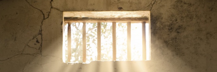 williamseife's profile banner image
