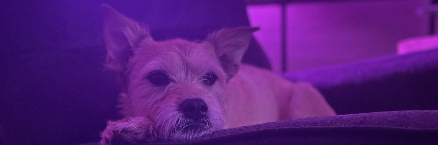 lolineedadrink's profile banner image