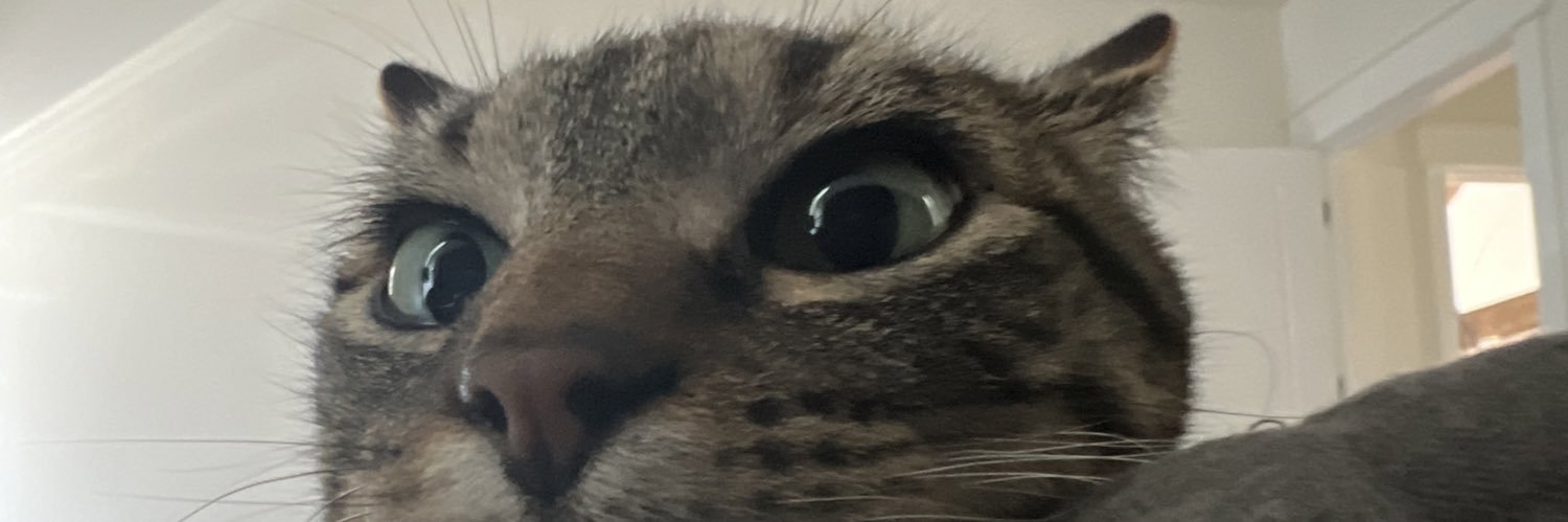 carterwinters's profile banner image
