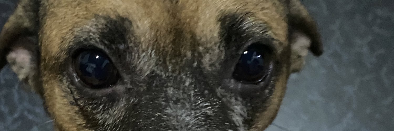 Courtneeng's profile banner image