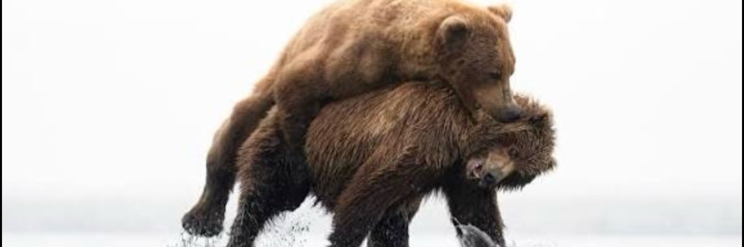 SPERM_111🔞 banner