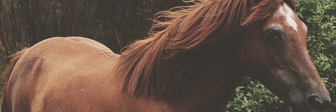 7_mlam7's profile banner image