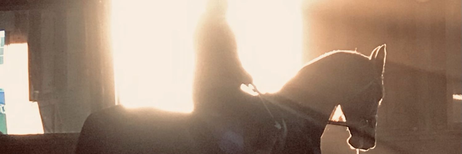 ErinBendas's profile banner image