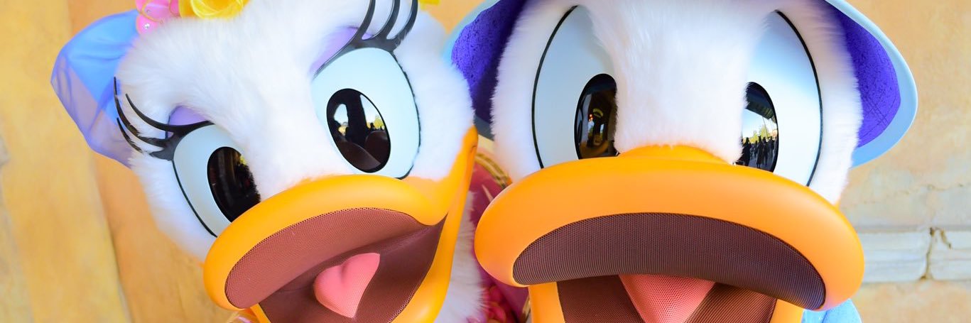 ask__5's profile banner image