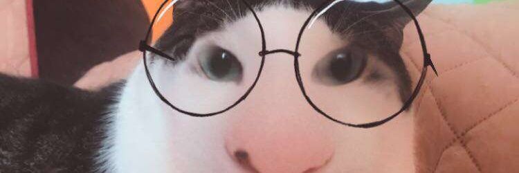 Tutz23's profile banner image