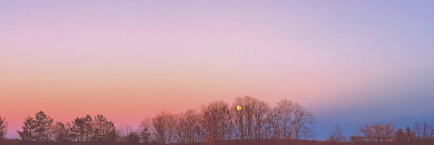 auryishere's profile banner image