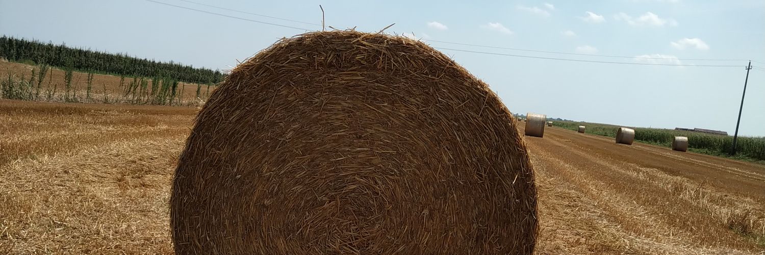 FiloRaga26's profile banner image