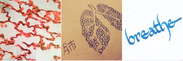 RespTrainees Profile Banner