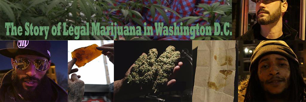 Capital_Canna's profile banner image