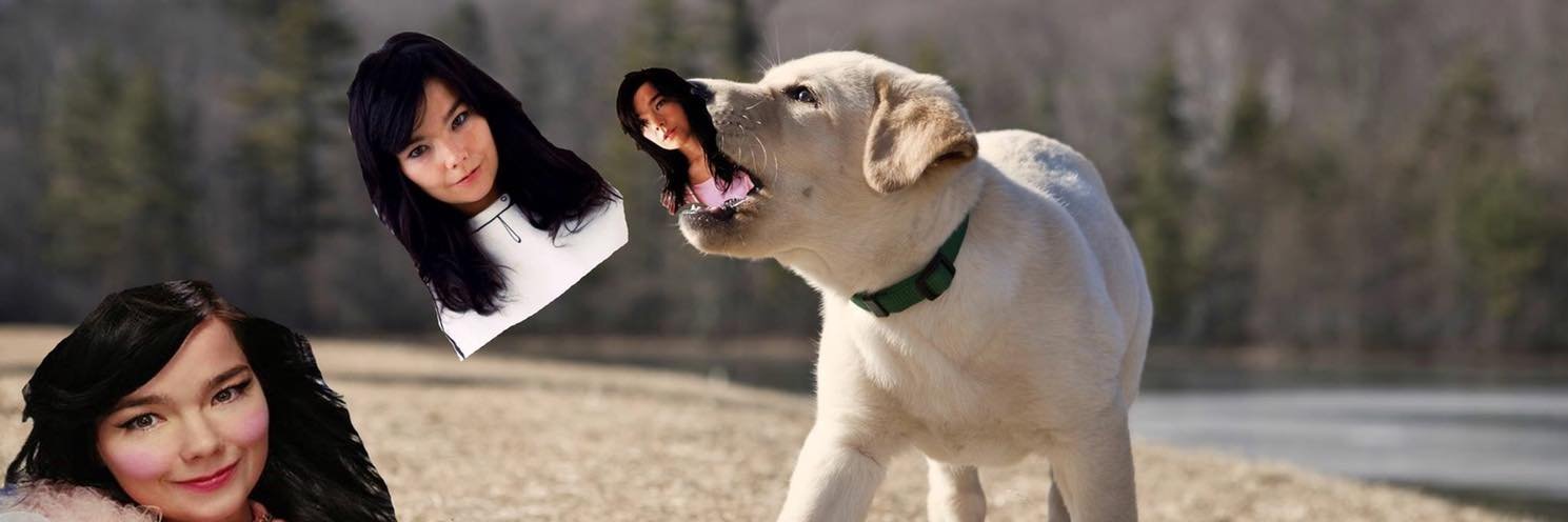 ark4avah's profile banner image
