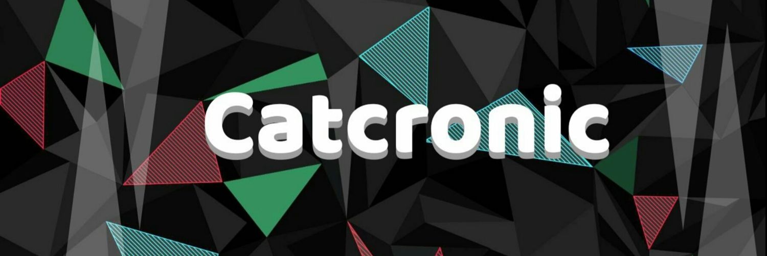 Catcronic's profile banner image