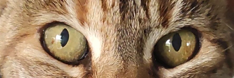 Chris_Oue's profile banner image
