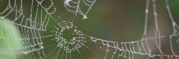 FinleyJY Profile Banner