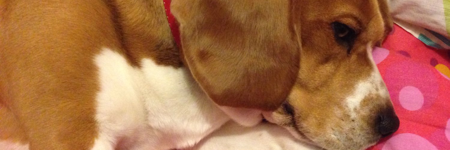 diapeba's profile banner image
