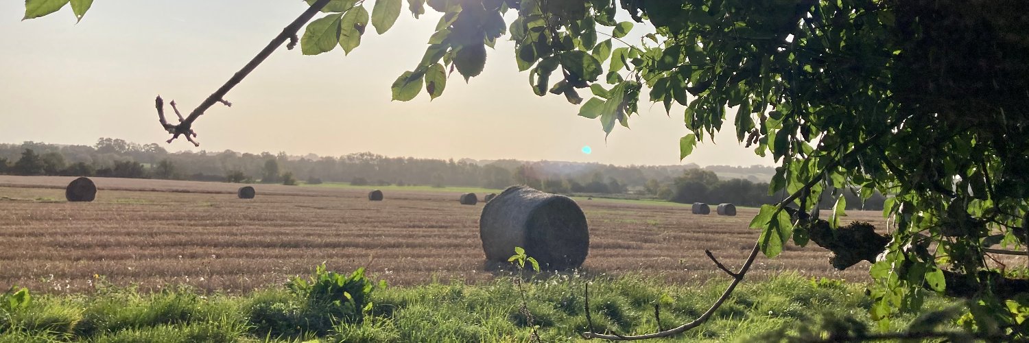 County Insurance Farm banner