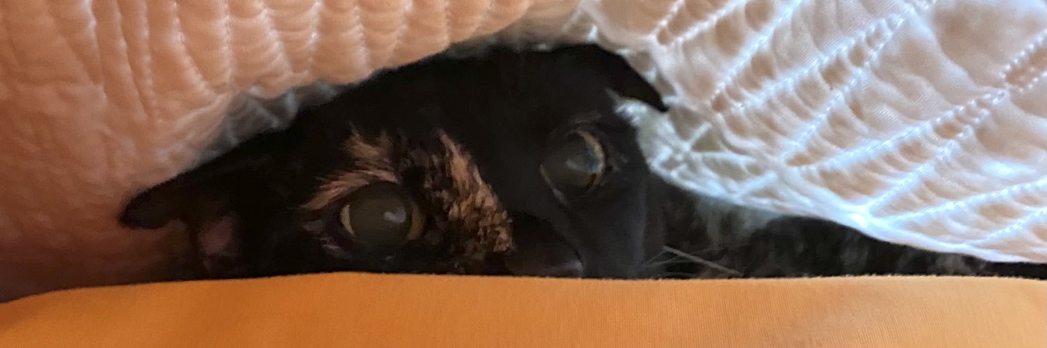 Emily is at @pentapod@mstdn.ca banner