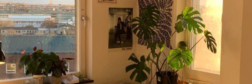 jossikossi00's profile banner image